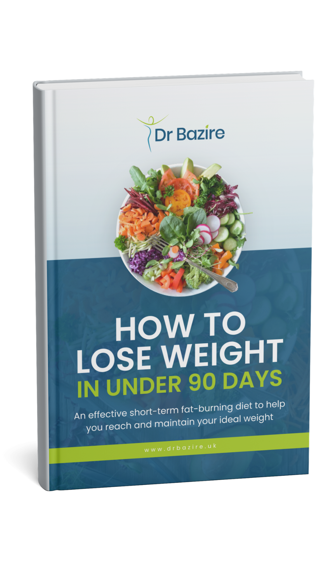 How to Lose Weight in Under 90 Days Mock Up How to Lose Weight in Under 90 Days Mock Up