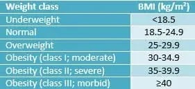 Body-Mass-Index