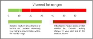 visceral-fat-ranges-300x127