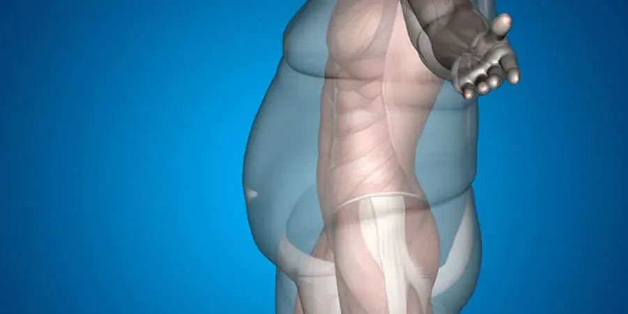 body-fat-percentage